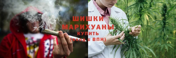 мяу мяу мука Аркадак