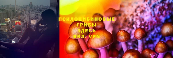 эйфоретик Арсеньев