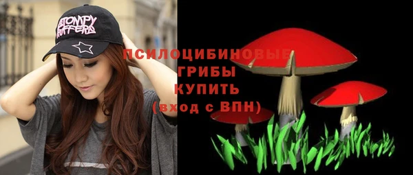 мяу мяу мука Аркадак
