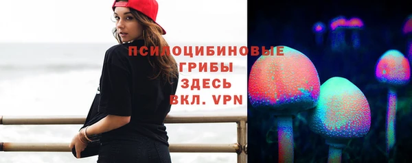 эйфоретик Арсеньев
