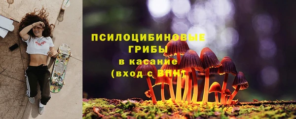 мяу мяу мука Аркадак