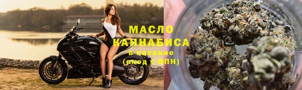 мяу мяу мука Аркадак