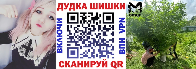 сколько стоит  Ртищево  Бошки марихуана Ganja 